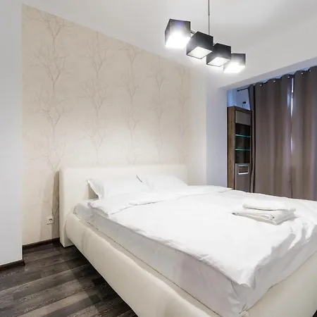 公寓 Luxury Baneasa 布加勒斯特